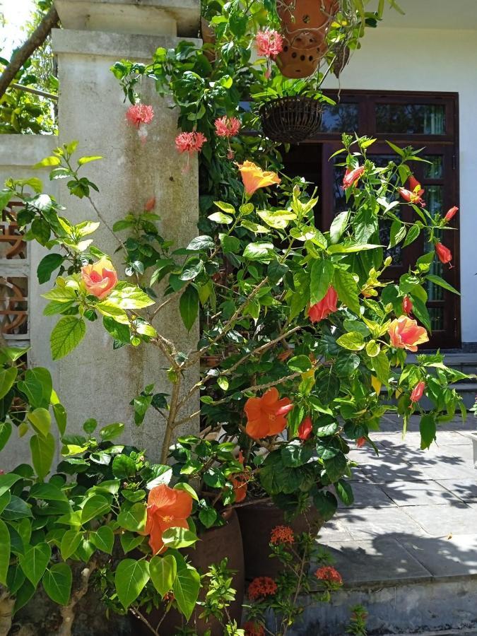 Anbang Morning Glory Beach Homestay 호이안 안방비치 숙소호텔 Exterior photo