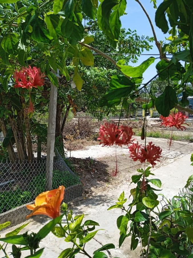 Anbang Morning Glory Beach Homestay 호이안 안방비치 숙소호텔 Exterior photo