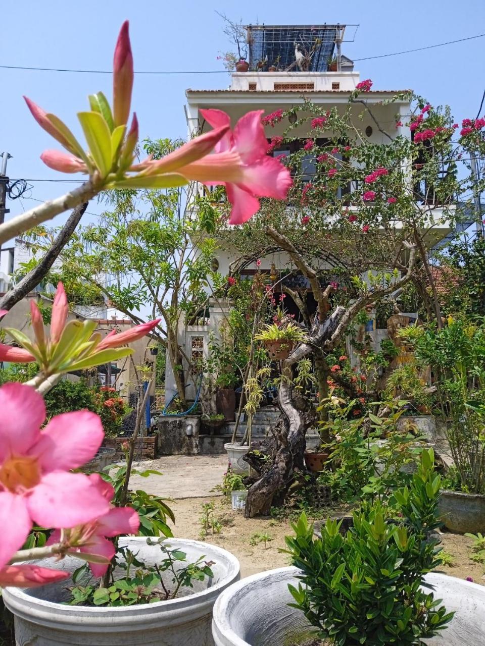 Anbang Morning Glory Beach Homestay 호이안 안방비치 숙소호텔 Exterior photo