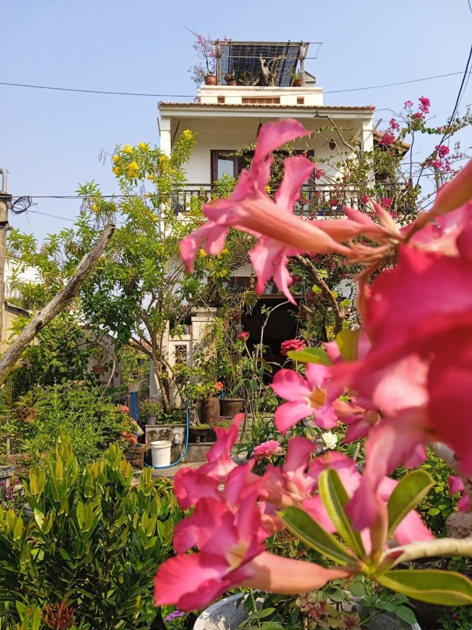 Anbang Morning Glory Beach Homestay 호이안 안방비치 숙소호텔 Exterior photo