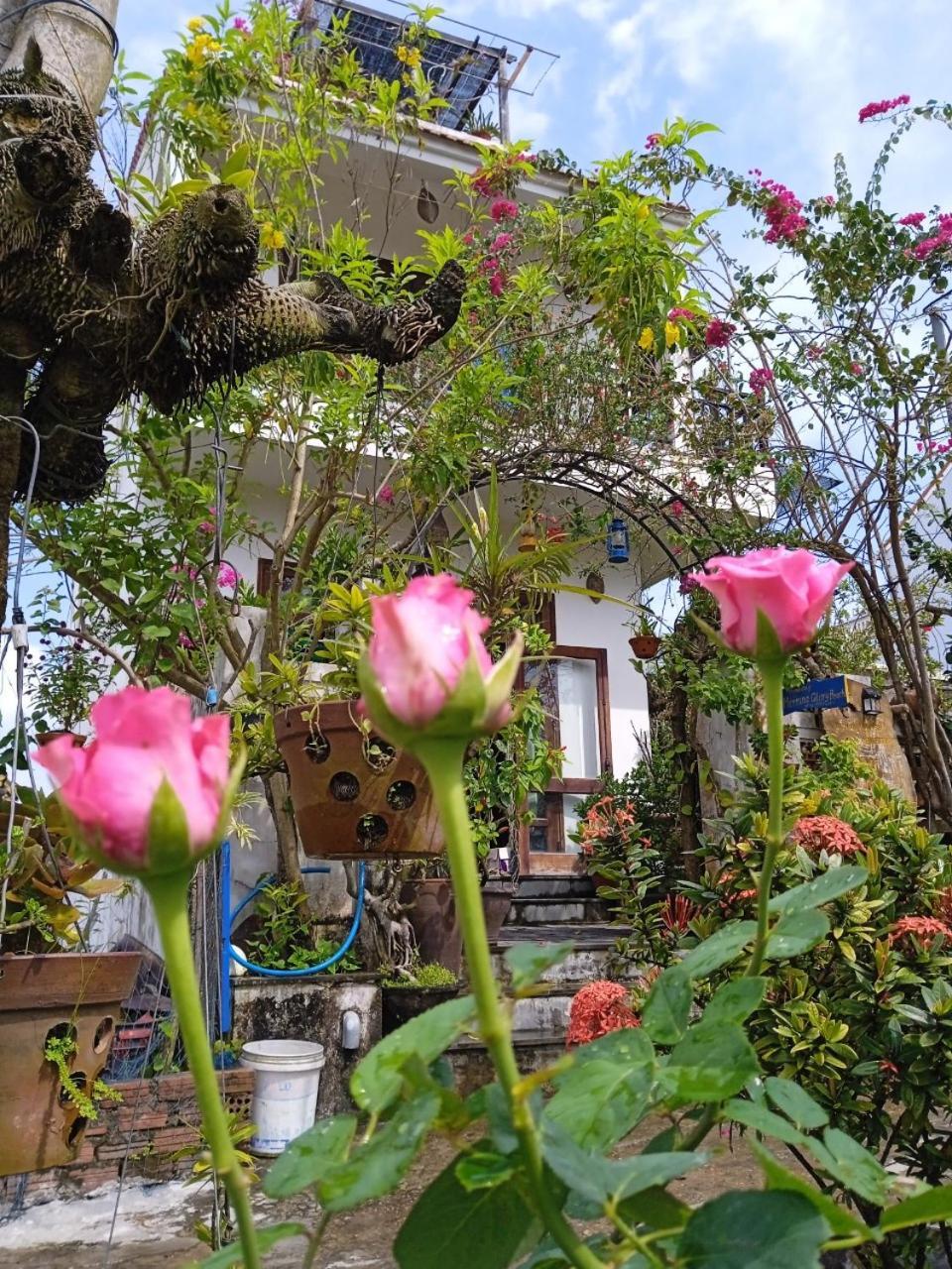 Anbang Morning Glory Beach Homestay 호이안 안방비치 숙소호텔 Exterior photo