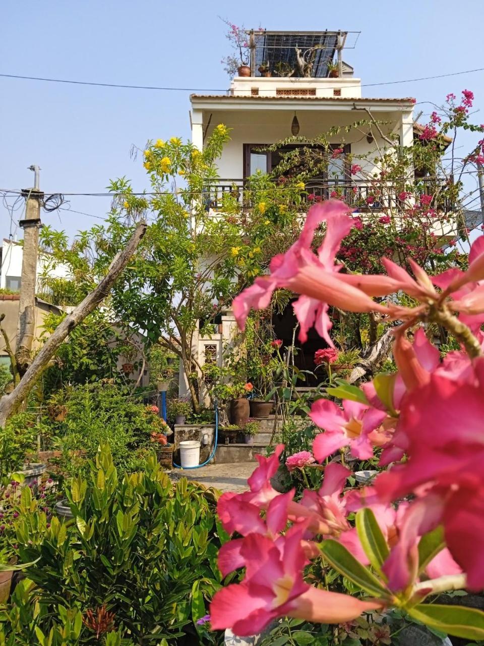 Anbang Morning Glory Beach Homestay 호이안 안방비치 숙소호텔 Exterior photo