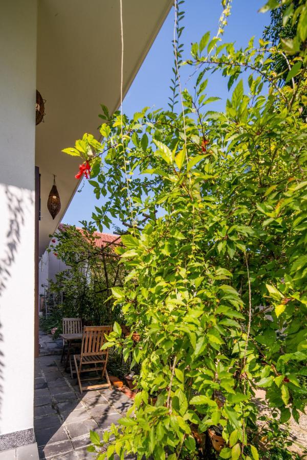 Anbang Morning Glory Beach Homestay 호이안 안방비치 숙소호텔 Exterior photo